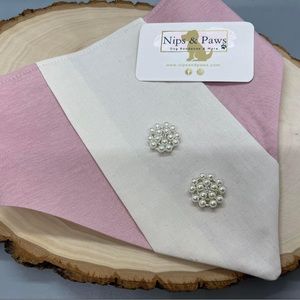 Special Occasion Dog Bandana